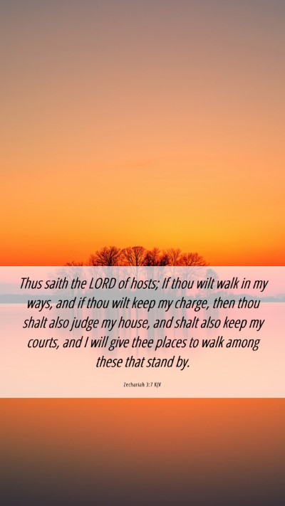 Picture 06 - Zechariah 3:7 KJV Mobile Phone Wallpaper - Thus saith the LORD of hosts; If thou wilt walk - Mobile Bible Verse Wallpaper