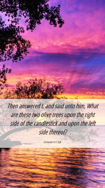 Picture 06 - Zechariah 4:11 KJV Mobile Phone Wallpaper - Then answered I, and said unto him, What are - Mobile Bible Verse Wallpaper