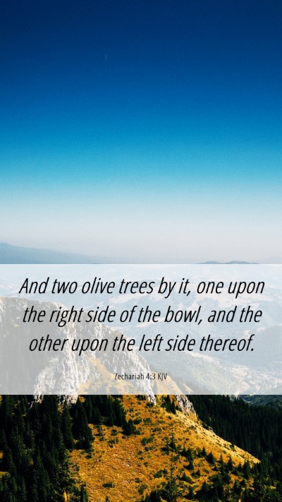 Picture 06 - Zechariah 4:3 KJV Mobile Phone Wallpaper - And two olive trees by it, one upon the right - Mobile Bible Verse Wallpaper