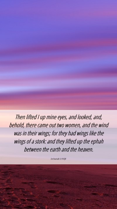Picture 06 - Zechariah 5:9 KJV Mobile Phone Wallpaper - Then lifted I up mine eyes, and looked, and, - Mobile Bible Verse Wallpaper