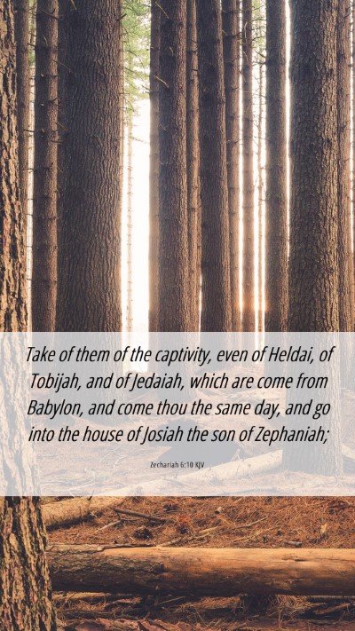 Picture 06 - Zechariah 6:10 KJV Mobile Phone Wallpaper - Take of them of the captivity, even of Heldai, of - Mobile Bible Verse Wallpaper