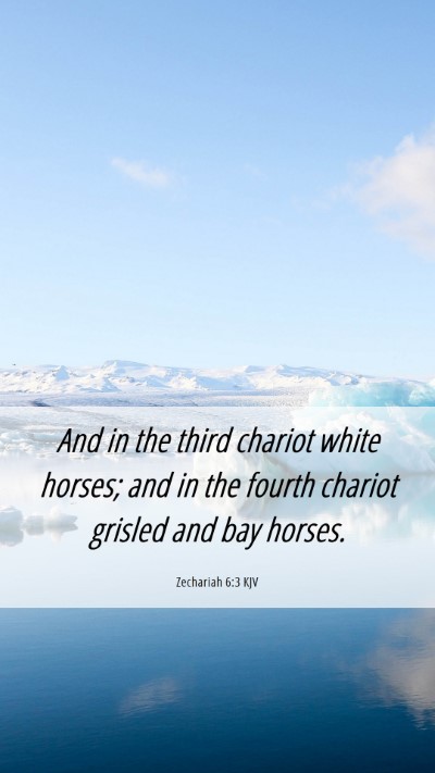 Picture 06 - Zechariah 6:3 KJV Mobile Phone Wallpaper - And in the third chariot white horses; and in the - Mobile Bible Verse Wallpaper
