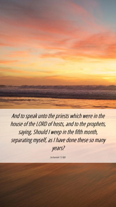 Picture 06 - Zechariah 7:3 KJV Mobile Phone Wallpaper - And to speak unto the priests which were in the - Mobile Bible Verse Wallpaper