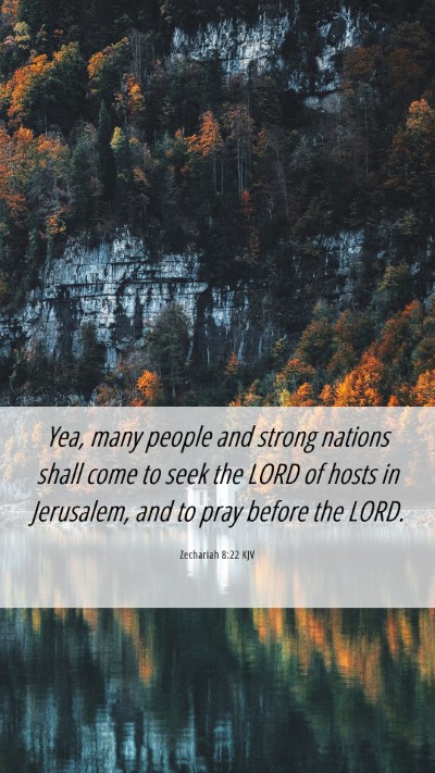 Picture 06 - Zechariah 8:22 KJV Mobile Phone Wallpaper - Yea, many people and strong nations shall come to - Mobile Bible Verse Wallpaper