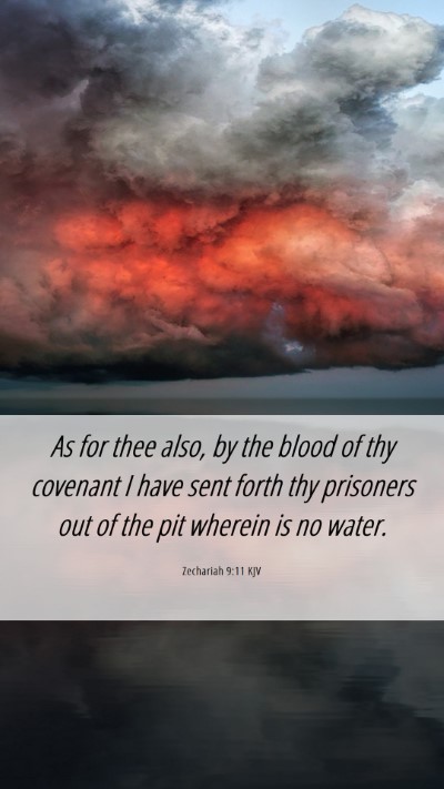 Picture 06 - Zechariah 9:11 KJV Mobile Phone Wallpaper - As for thee also, by the blood of thy covenant I - Mobile Bible Verse Wallpaper