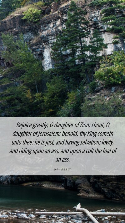Picture 06 - Zechariah 9:9 KJV Mobile Phone Wallpaper - Rejoice greatly, O daughter of Zion; shout, O - Mobile Bible Verse Wallpaper