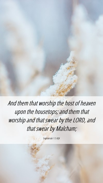 Picture 06 - Zephaniah 1:5 KJV Mobile Phone Wallpaper - And them that worship the host of heaven upon the - Mobile Bible Verse Wallpaper