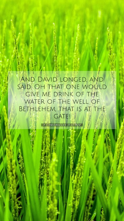 Picture 07 - 1 Chronicles 11:17 KJV Mobile Phone Wallpaper - And David longed, and said, Oh that one would - Mobile Bible Verse Wallpaper