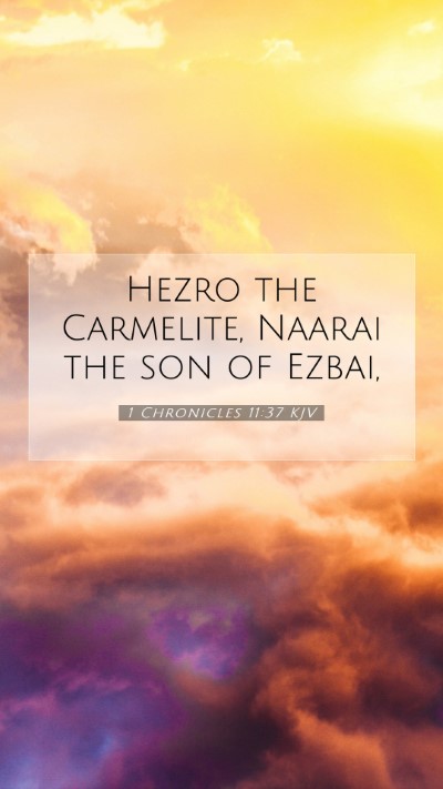 Picture 07 - 1 Chronicles 11:37 KJV Mobile Phone Wallpaper - Hezro the Carmelite, Naarai the son of - Mobile Bible Verse Wallpaper