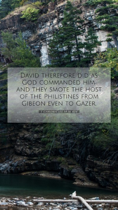 Picture 07 - 1 Chronicles 14:16 KJV Mobile Phone Wallpaper - David therefore did as God commanded him: and - Mobile Bible Verse Wallpaper