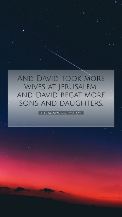 Picture 07 - 1 Chronicles 14:3 KJV Mobile Phone Wallpaper - And David took more wives at Jerusalem: and David - Mobile Bible Verse Wallpaper