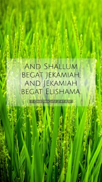 Picture 07 - 1 Chronicles 2:41 KJV Mobile Phone Wallpaper - And Shallum begat Jekamiah, and Jekamiah begat - Mobile Bible Verse Wallpaper