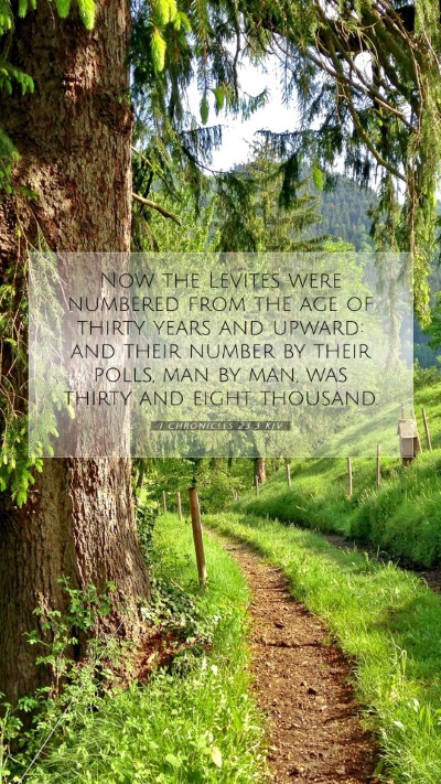 Picture 07 - 1 Chronicles 23:3 KJV Mobile Phone Wallpaper - Now the Levites were numbered from the age of - Mobile Bible Verse Wallpaper
