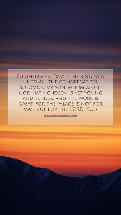 Picture 07 - 1 Chronicles 29:1 KJV Mobile Phone Wallpaper - Furthermore David the king said unto all the - Mobile Bible Verse Wallpaper