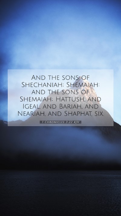 Picture 07 - 1 Chronicles 3:22 KJV Mobile Phone Wallpaper - And the sons of Shechaniah; Shemaiah: and the - Mobile Bible Verse Wallpaper