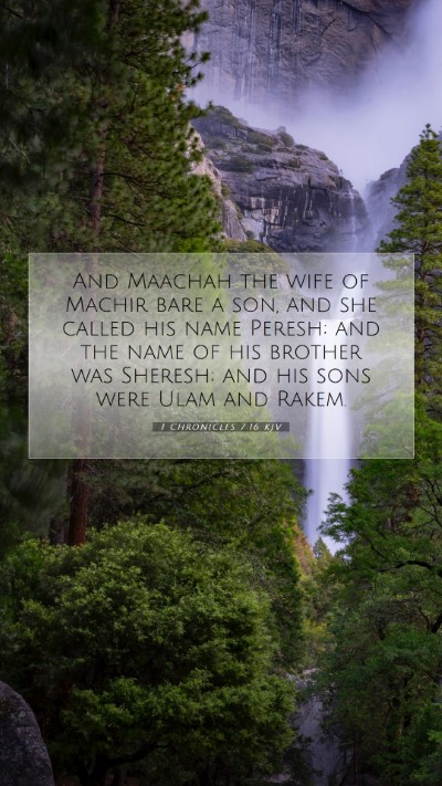 Picture 07 - 1 Chronicles 7:16 KJV Mobile Phone Wallpaper - And Maachah the wife of Machir bare a son, and - Mobile Bible Verse Wallpaper