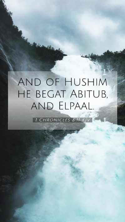 Picture 07 - 1 Chronicles 8:11 KJV Mobile Phone Wallpaper - And of Hushim he begat Abitub, and - Mobile Bible Verse Wallpaper