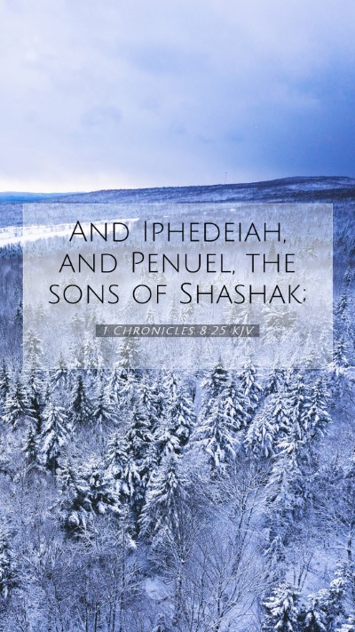 Picture 07 - 1 Chronicles 8:25 KJV Mobile Phone Wallpaper - And Iphedeiah, and Penuel, the sons of - Mobile Bible Verse Wallpaper