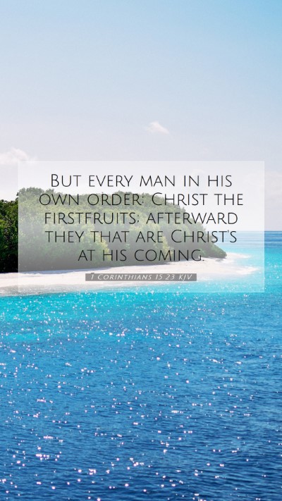 Picture 07 - 1 Corinthians 15:23 KJV Mobile Phone Wallpaper - But every man in his own order: Christ the - Mobile Bible Verse Wallpaper