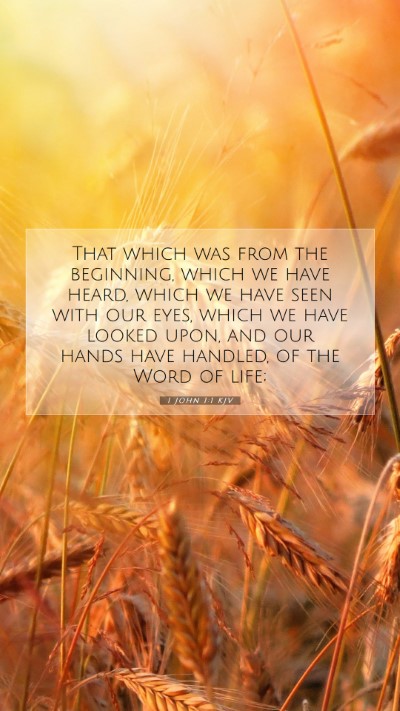 Picture 07 - 1 John 1:1 KJV Mobile Phone Wallpaper - That which was from the beginning, which we have - Mobile Bible Verse Wallpaper