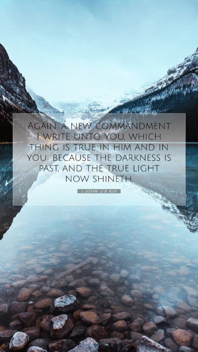 Picture 07 - 1 John 2:8 KJV Mobile Phone Wallpaper - Again, a new commandment I write unto you, which - Mobile Bible Verse Wallpaper