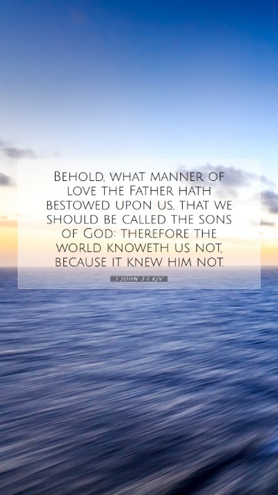 Picture 07 - 1 John 3:1 KJV Mobile Phone Wallpaper - Behold, what manner of love the Father hath - Mobile Bible Verse Wallpaper