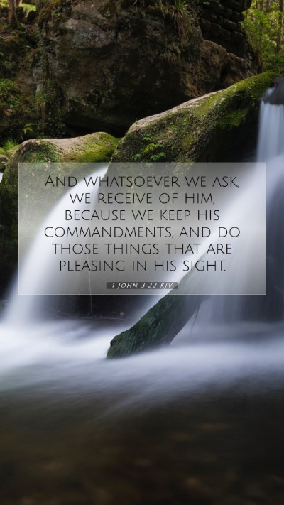 Picture 07 - 1 John 3:22 KJV Mobile Phone Wallpaper - And whatsoever we ask, we receive of him, because - Mobile Bible Verse Wallpaper