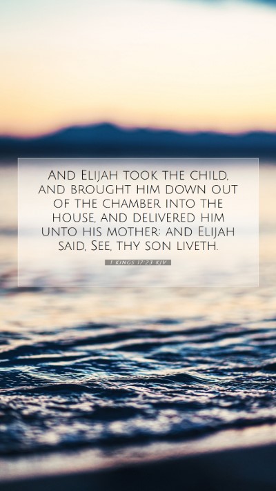 Picture 07 - 1 Kings 17:23 KJV Mobile Phone Wallpaper - And Elijah took the child, and brought him down - Mobile Bible Verse Wallpaper