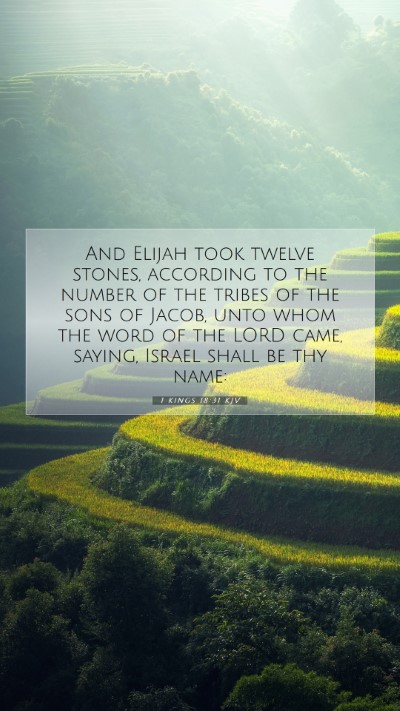 Picture 07 - 1 Kings 18:31 KJV Mobile Phone Wallpaper - And Elijah took twelve stones, according to the - Mobile Bible Verse Wallpaper