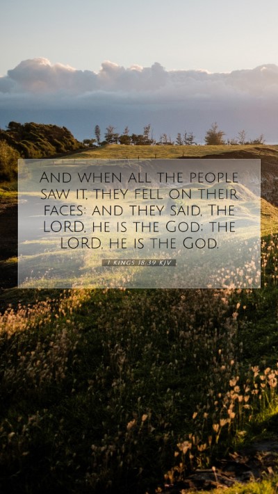 Picture 07 - 1 Kings 18:39 KJV Mobile Phone Wallpaper - And when all the people saw it, they fell on - Mobile Bible Verse Wallpaper