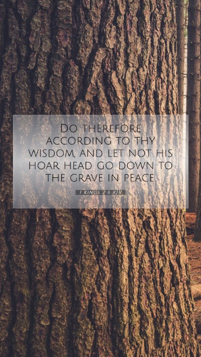 Picture 07 - 1 Kings 2:6 KJV Mobile Phone Wallpaper - Do therefore according to thy wisdom, and let not - Mobile Bible Verse Wallpaper