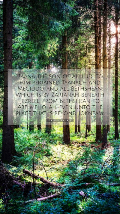 Picture 07 - 1 Kings 4:12 KJV Mobile Phone Wallpaper - Baana the son of Ahilud; to him pertained Taanach - Mobile Bible Verse Wallpaper