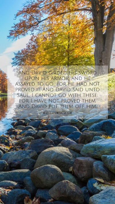 Picture 07 - 1 Samuel 17:39 KJV Mobile Phone Wallpaper - And David girded his sword upon his armor, and he - Mobile Bible Verse Wallpaper