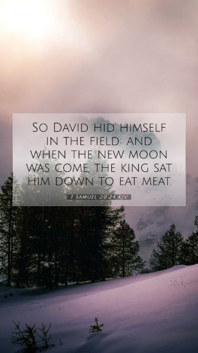 Picture 07 - 1 Samuel 20:24 KJV Mobile Phone Wallpaper - So David hid himself in the field: and when the - Mobile Bible Verse Wallpaper