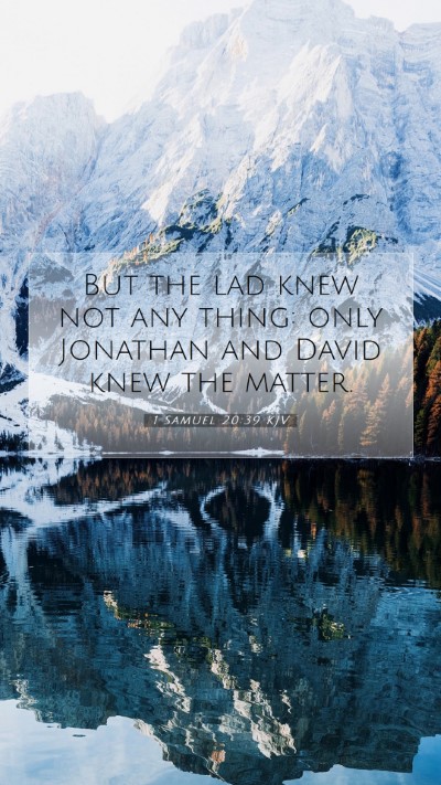 Picture 07 - 1 Samuel 20:39 KJV Mobile Phone Wallpaper - But the lad knew not any thing: only Jonathan and - Mobile Bible Verse Wallpaper