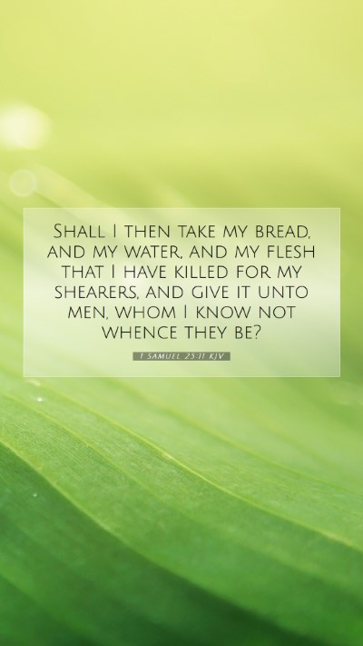 Picture 07 - 1 Samuel 25:11 KJV Mobile Phone Wallpaper - Shall I then take my bread, and my water, and my - Mobile Bible Verse Wallpaper