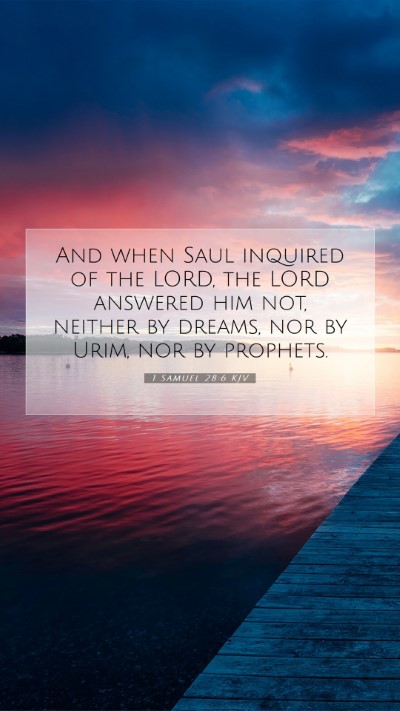 Picture 07 - 1 Samuel 28:6 KJV Mobile Phone Wallpaper - And when Saul inquired of the LORD, the LORD - Mobile Bible Verse Wallpaper