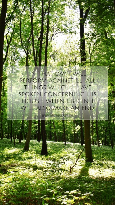 Picture 07 - 1 Samuel 3:12 KJV Mobile Phone Wallpaper - In that day I will perform against Eli all things - Mobile Bible Verse Wallpaper