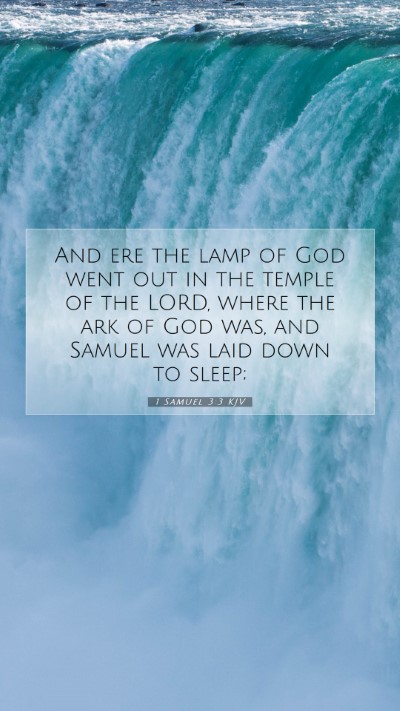 Picture 07 - 1 Samuel 3:3 KJV Mobile Phone Wallpaper - And ere the lamp of God went out in the temple of - Mobile Bible Verse Wallpaper