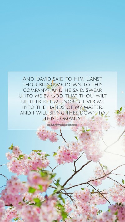 Picture 07 - 1 Samuel 30:15 KJV Mobile Phone Wallpaper - And David said to him, Canst thou bring me down - Mobile Bible Verse Wallpaper