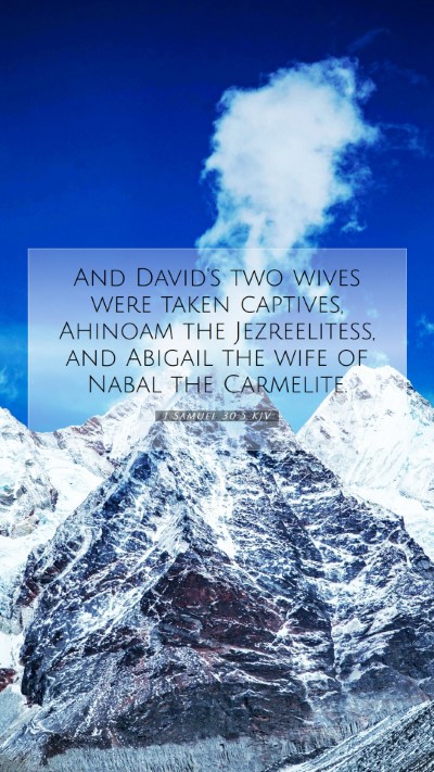 Picture 07 - 1 Samuel 30:5 KJV Mobile Phone Wallpaper - And David's two wives were taken captives, - Mobile Bible Verse Wallpaper