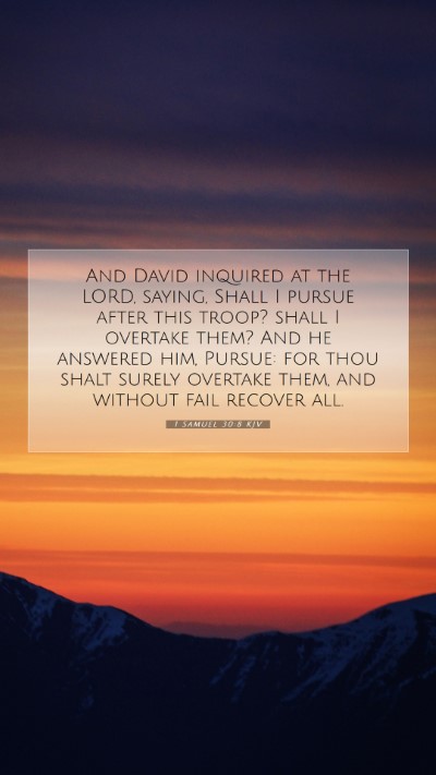 Picture 07 - 1 Samuel 30:8 KJV Mobile Phone Wallpaper - And David inquired at the LORD, saying, Shall I - Mobile Bible Verse Wallpaper
