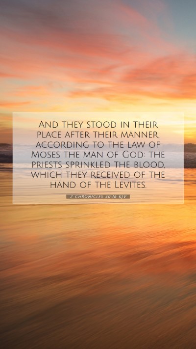Picture 07 - 2 Chronicles 30:16 KJV Mobile Phone Wallpaper - And they stood in their place after their manner, - Mobile Bible Verse Wallpaper