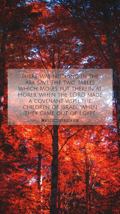 Picture 07 - 2 Chronicles 5:10 KJV Mobile Phone Wallpaper - There was nothing in the ark save the two tables - Mobile Bible Verse Wallpaper