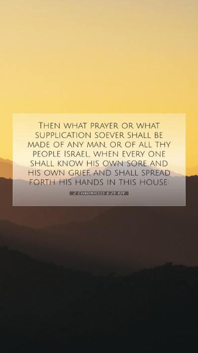 Picture 07 - 2 Chronicles 6:29 KJV Mobile Phone Wallpaper - Then what prayer or what supplication soever - Mobile Bible Verse Wallpaper