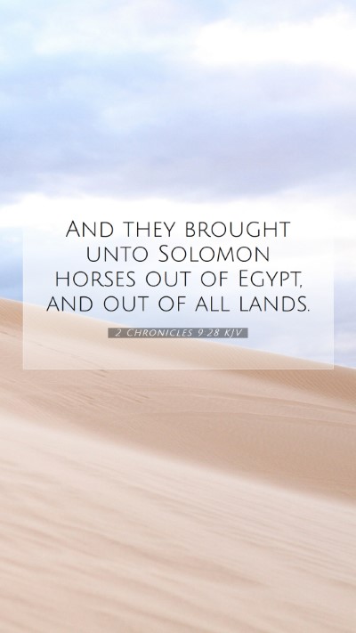 Picture 07 - 2 Chronicles 9:28 KJV Mobile Phone Wallpaper - And they brought unto Solomon horses out of - Mobile Bible Verse Wallpaper