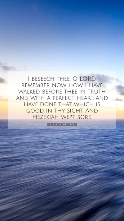 Picture 07 - 2 Kings 20:3 KJV Mobile Phone Wallpaper - I beseech thee, O LORD, remember now how I have - Mobile Bible Verse Wallpaper