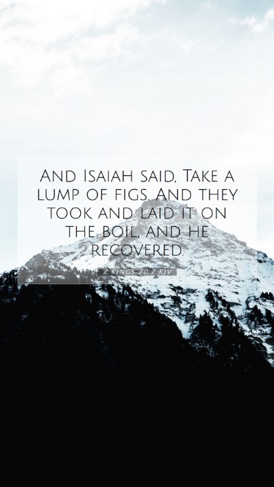 Picture 07 - 2 Kings 20:7 KJV Mobile Phone Wallpaper - And Isaiah said, Take a lump of figs. And they - Mobile Bible Verse Wallpaper