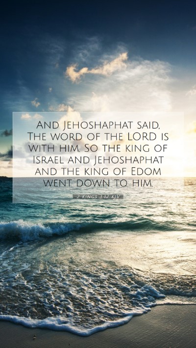 Picture 07 - 2 Kings 3:12 KJV Mobile Phone Wallpaper - And Jehoshaphat said, The word of the LORD is - Mobile Bible Verse Wallpaper
