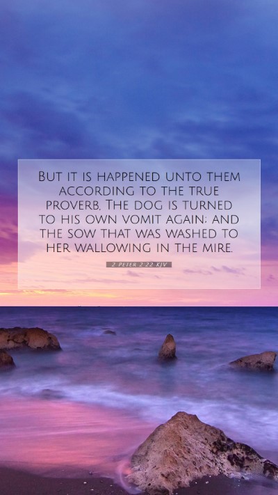Picture 07 - 2 Peter 2:22 KJV Mobile Phone Wallpaper - But it is happened unto them according to the - Mobile Bible Verse Wallpaper